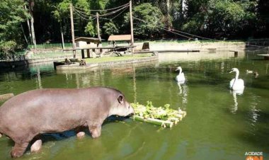 Bosque Interativo no próximo dia 25, uma oportunidade de lazer para toda família