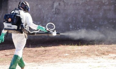 Chuvas prejudicam nebulização em monte Mor