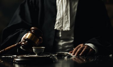 Quando a Toga Silencia a Urna: O Ativismo Judicial e o Enfraquecimento das Instituições Democráticas