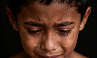 A Incoerência da Defesa: Quando a Ideologia Ignora a Humanidade