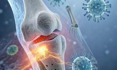 Cartilagem Renovada: O Fim da Osteoartrite Está Próximo?